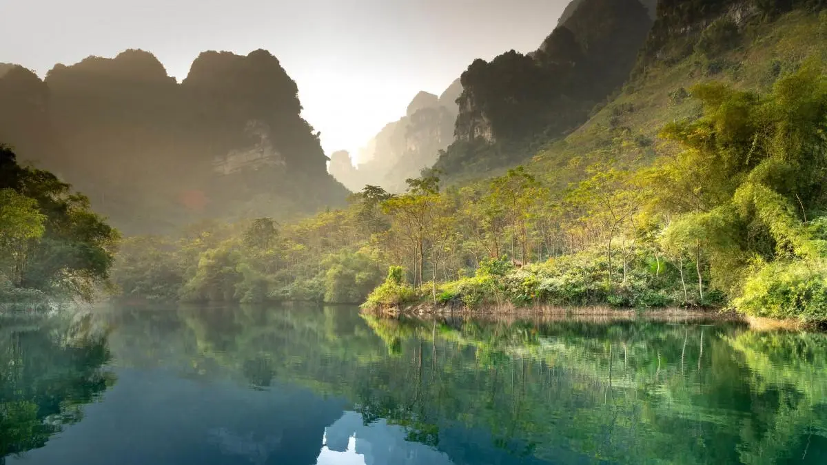高效科技